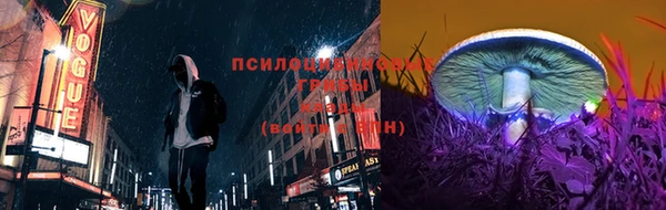 марки lsd Богданович