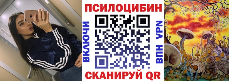 Псилоцибиновые грибы ЛСД  где купить наркотик  блэк спрут зеркало  Саранск 