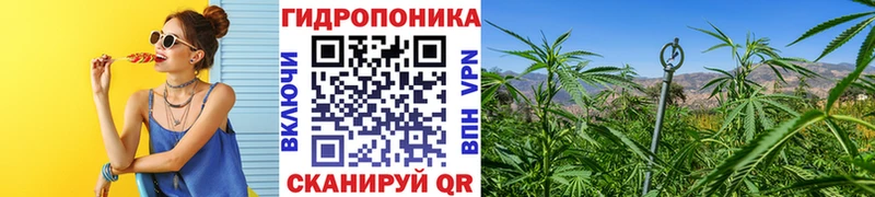 где продают наркотики  Саранск  Бошки Шишки конопля 